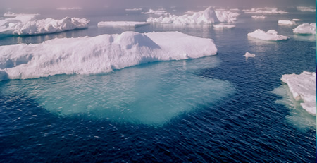 Keep informed about Climate Change